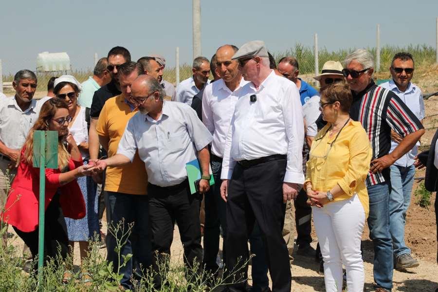 Yeni Çeşit Deneme Ve Çiftçi Eğitim Merkezi